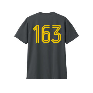H163_tm21-T2025
